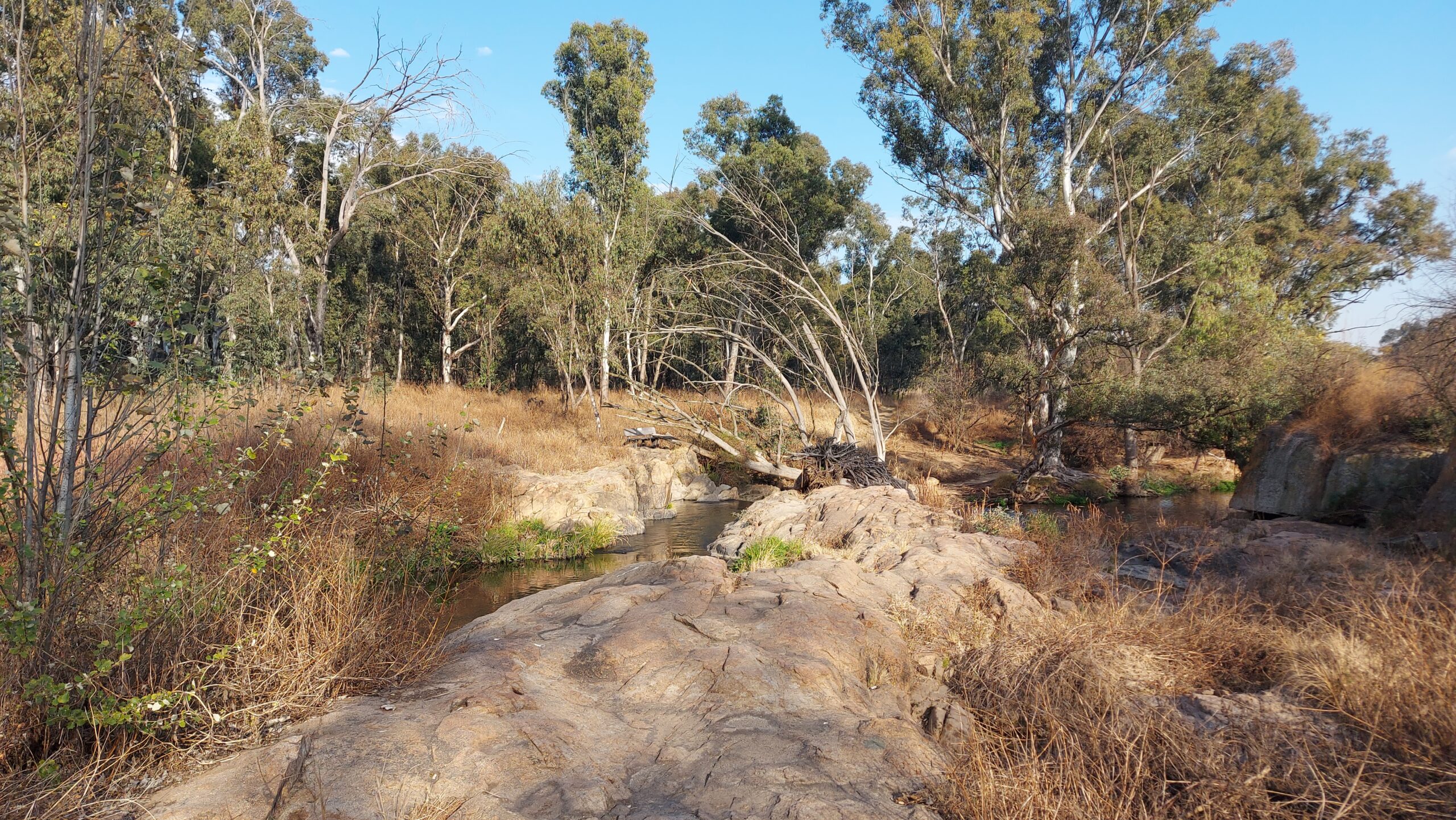 modderfontein cycling trail